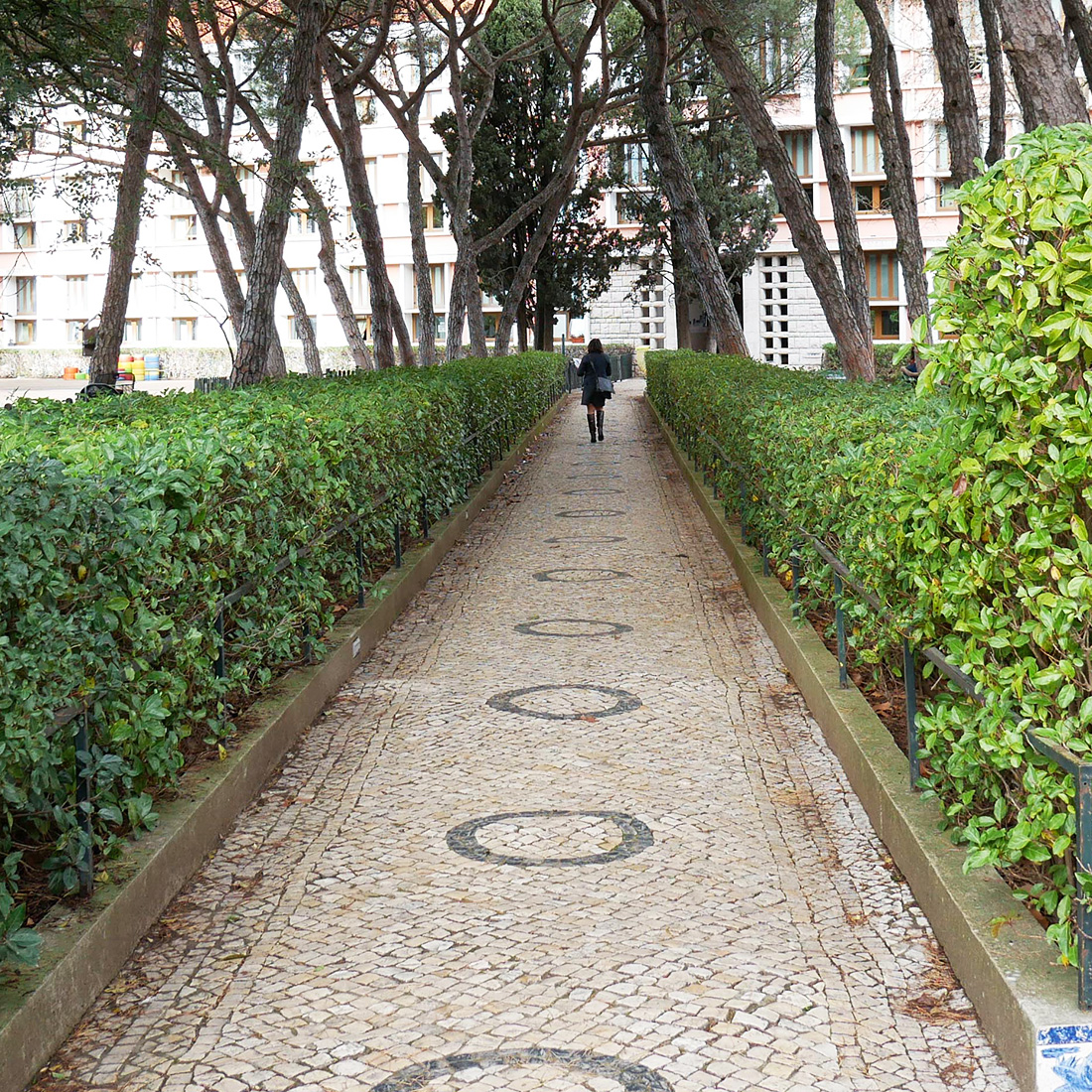 Lycée Français de Lisbonne - Refonte de l'identité visuelle d'une institution - Li-Nó