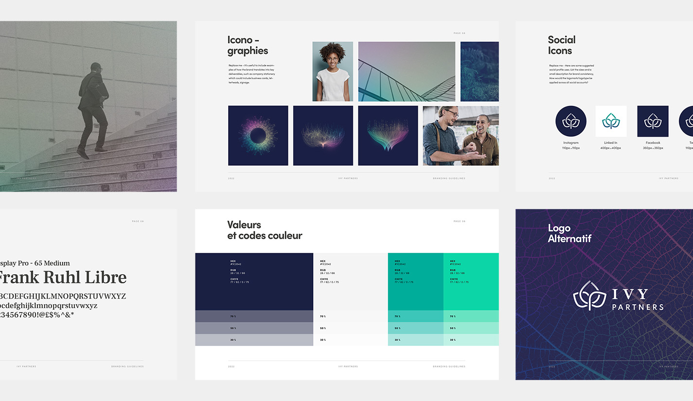 Création brand book - guide branding pour une société de consulting - Li-Nó